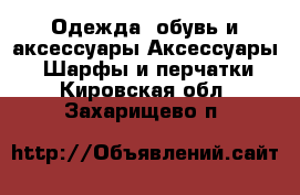 Одежда, обувь и аксессуары Аксессуары - Шарфы и перчатки. Кировская обл.,Захарищево п.